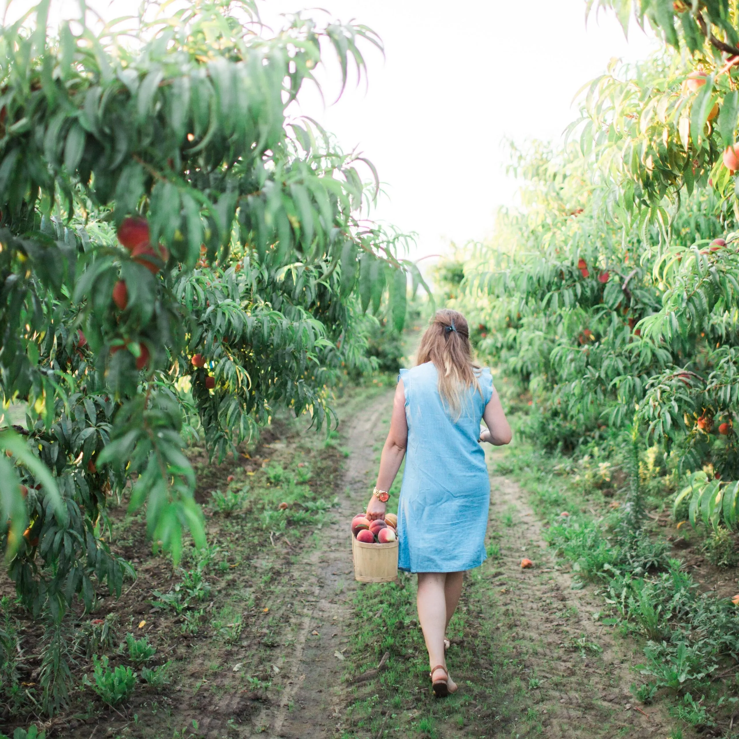 local ingredients