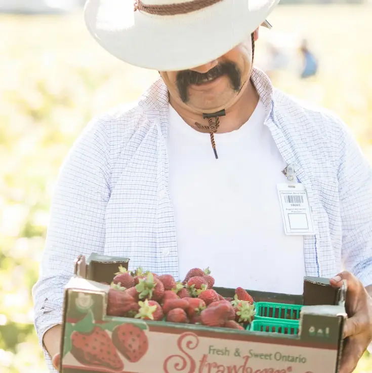 Tigechlaar Berry Farms, Jordan, ON